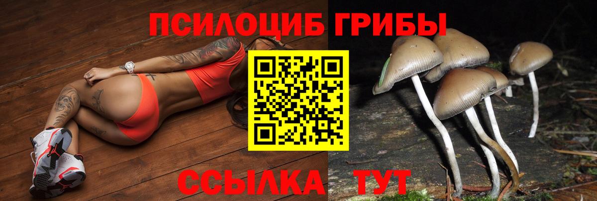 Псилоцибиновые грибы Cubensis Екатеринбург