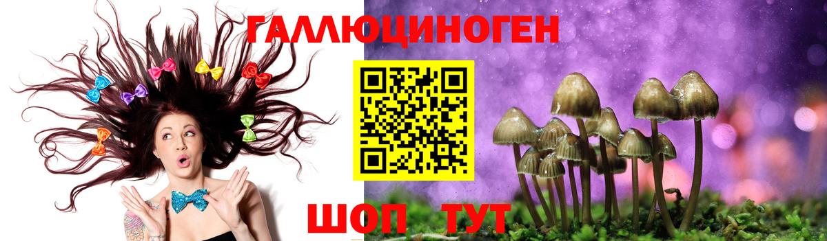 Екатеринбург  Галлюциногенные грибы Magic Shrooms  купить наркотик  Вход с VPN 